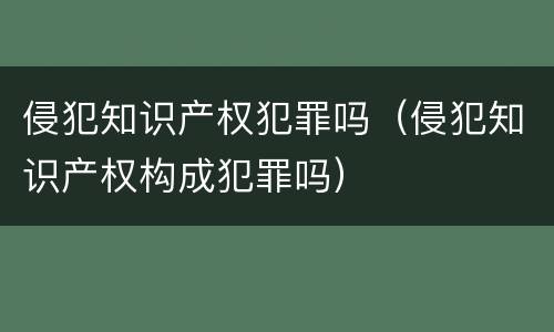 侵犯知识产权犯罪吗（侵犯知识产权构成犯罪吗）