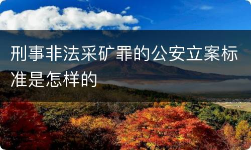 刑事非法采矿罪的公安立案标准是怎样的