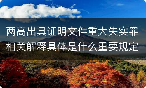 两高出具证明文件重大失实罪相关解释具体是什么重要规定