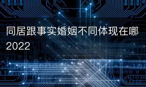 同居跟事实婚姻不同体现在哪2022