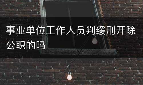 事业单位工作人员判缓刑开除公职的吗