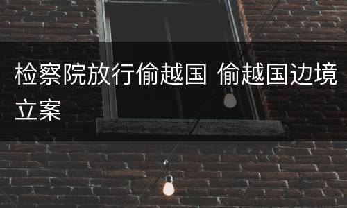 检察院放行偷越国 偷越国边境立案