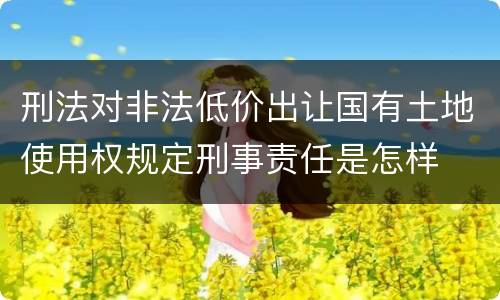 刑法对非法低价出让国有土地使用权规定刑事责任是怎样