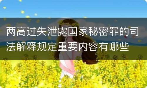 两高过失泄露国家秘密罪的司法解释规定重要内容有哪些