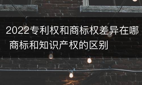 2022专利权和商标权差异在哪 商标和知识产权的区别