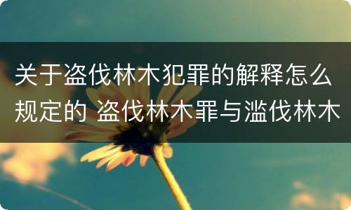 关于盗伐林木犯罪的解释怎么规定的 盗伐林木罪与滥伐林木罪以及盗窃罪的区别