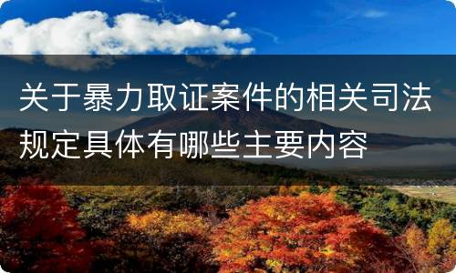关于暴力取证案件的相关司法规定具体有哪些主要内容