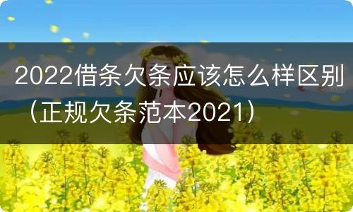 2022借条欠条应该怎么样区别（正规欠条范本2021）