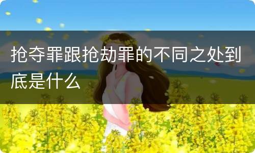 抢夺罪跟抢劫罪的不同之处到底是什么
