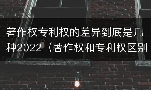 著作权专利权的差异到底是几种2022（著作权和专利权区别）