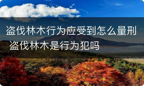 盗伐林木行为应受到怎么量刑 盗伐林木是行为犯吗