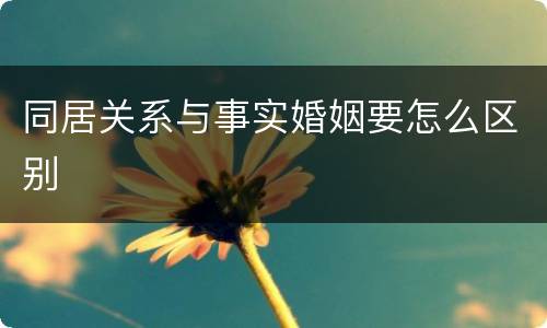 同居关系与事实婚姻要怎么区别