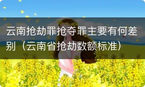 云南抢劫罪抢夺罪主要有何差别（云南省抢劫数额标准）