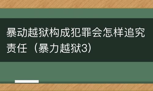暴动越狱构成犯罪会怎样追究责任（暴力越狱3）