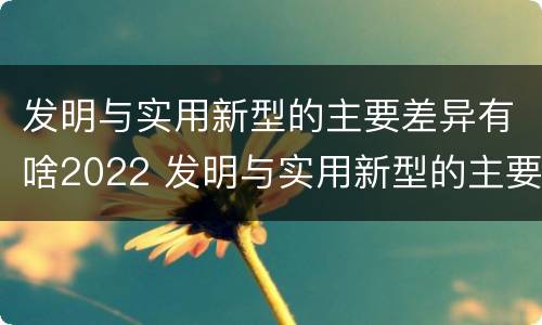 发明与实用新型的主要差异有啥2022 发明与实用新型的主要区别