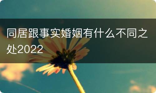 同居跟事实婚姻有什么不同之处2022