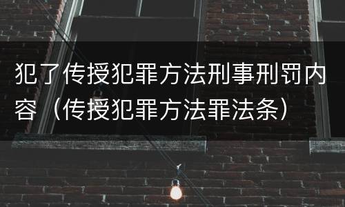 犯了传授犯罪方法刑事刑罚内容（传授犯罪方法罪法条）