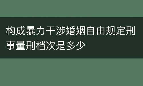 构成暴力干涉婚姻自由规定刑事量刑档次是多少