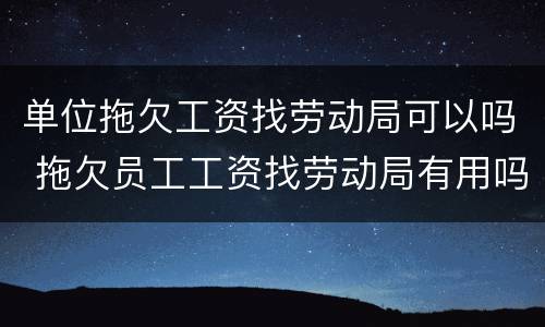 单位拖欠工资找劳动局可以吗 拖欠员工工资找劳动局有用吗