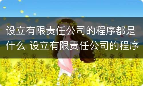 设立有限责任公司的程序都是什么 设立有限责任公司的程序都是什么程序