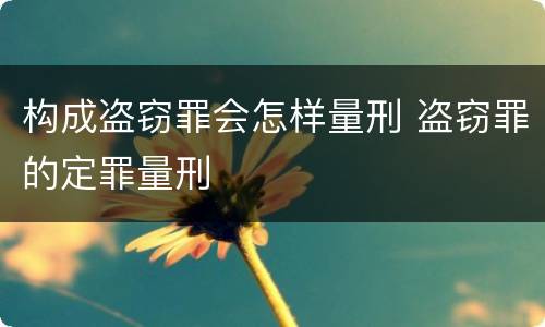 构成盗窃罪会怎样量刑 盗窃罪的定罪量刑
