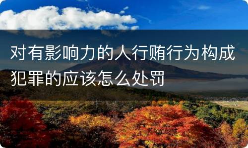 对有影响力的人行贿行为构成犯罪的应该怎么处罚