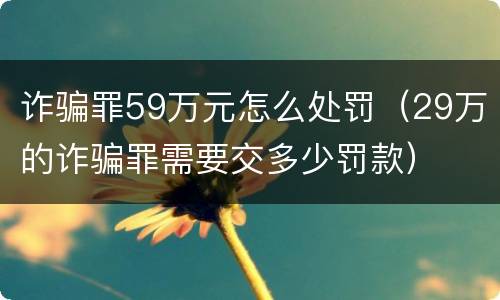 诈骗罪59万元怎么处罚（29万的诈骗罪需要交多少罚款）