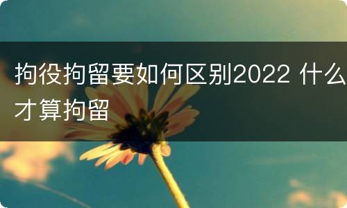 拘役拘留要如何区别2022 什么才算拘留