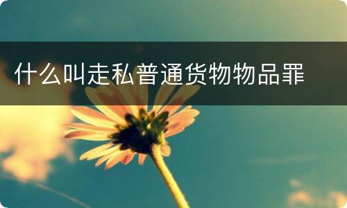 什么叫走私普通货物物品罪