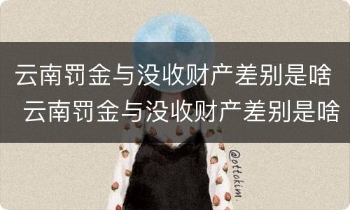 云南罚金与没收财产差别是啥 云南罚金与没收财产差别是啥呢