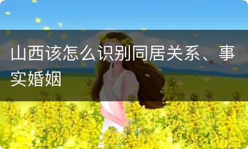 山西该怎么识别同居关系、事实婚姻