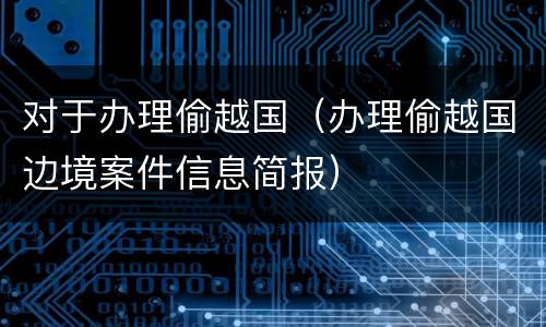 对于办理偷越国（办理偷越国边境案件信息简报）