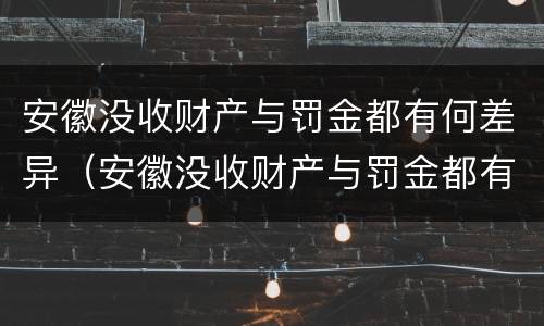 安徽没收财产与罚金都有何差异（安徽没收财产与罚金都有何差异呢）