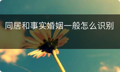 同居和事实婚姻一般怎么识别