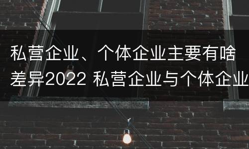 私营企业、个体企业主要有啥差异2022 私营企业与个体企业的区别