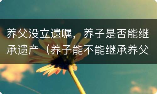 养父没立遗嘱，养子是否能继承遗产（养子能不能继承养父母的遗产）