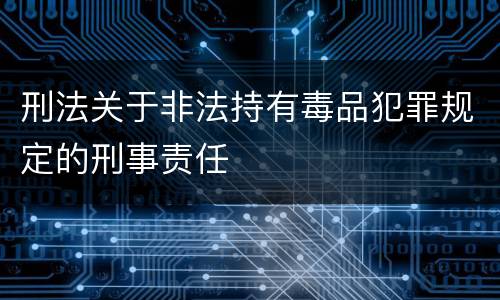刑法关于非法持有毒品犯罪规定的刑事责任