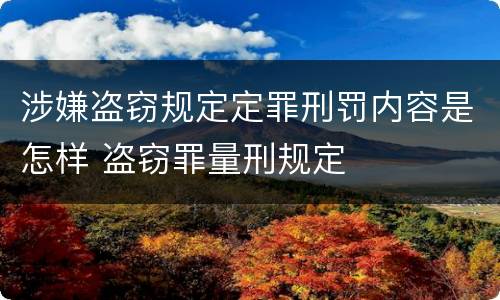 涉嫌盗窃规定定罪刑罚内容是怎样 盗窃罪量刑规定