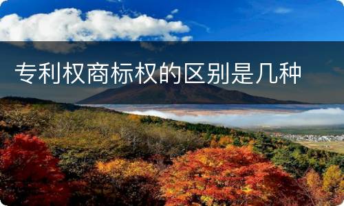 专利权商标权的区别是几种