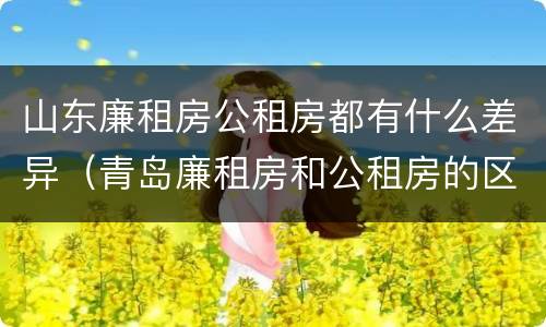 山东廉租房公租房都有什么差异（青岛廉租房和公租房的区别）