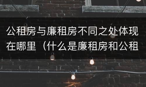 公租房与廉租房不同之处体现在哪里（什么是廉租房和公租房两个有什么特点）