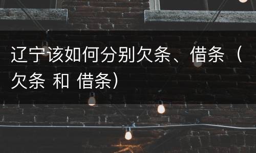 辽宁该如何分别欠条、借条（欠条 和 借条）