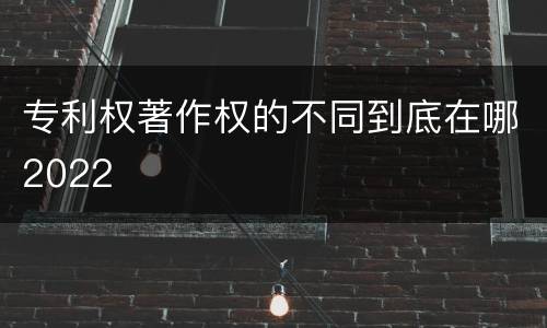 专利权著作权的不同到底在哪2022