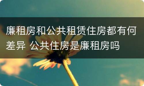 廉租房和公共租赁住房都有何差异 公共住房是廉租房吗