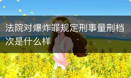 法院对爆炸罪规定刑事量刑档次是什么样