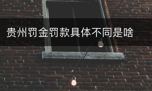 贵州罚金罚款具体不同是啥
