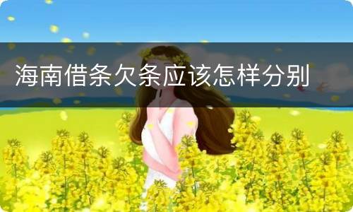 海南借条欠条应该怎样分别