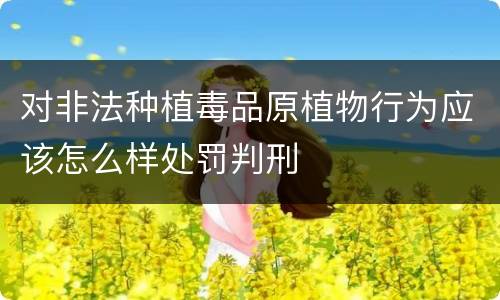 对非法种植毒品原植物行为应该怎么样处罚判刑