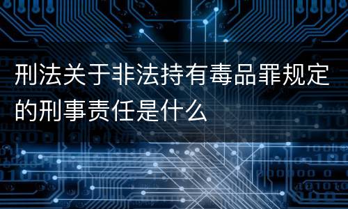 刑法关于非法持有毒品罪规定的刑事责任是什么