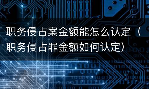 职务侵占案金额能怎么认定（职务侵占罪金额如何认定）